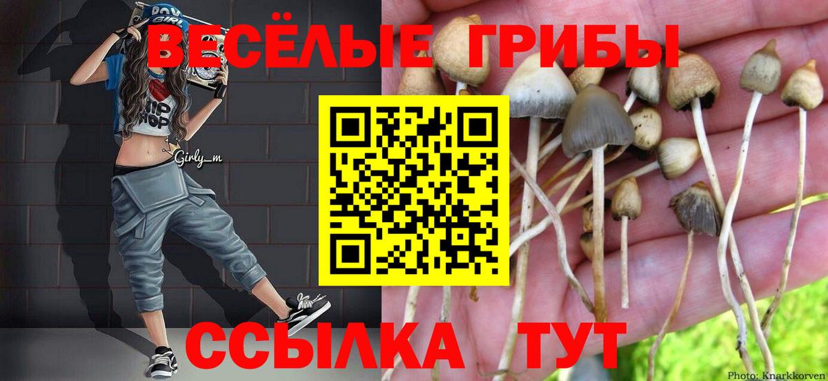 продажа наркотиков  Псилоцибиновые грибы ЛСД  Вход с VPN  Осинники 