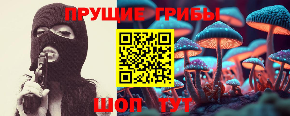 Галлюциногенные грибы ЛСД Осинники